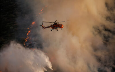 Κοινή έκθεση ΜIIR-WWF 12/5/2022: Τα οικονομικά της πρόληψης και της καταστολής των δασικών πυρκαγιών για πρώτη φορά σε μια έκθεση!