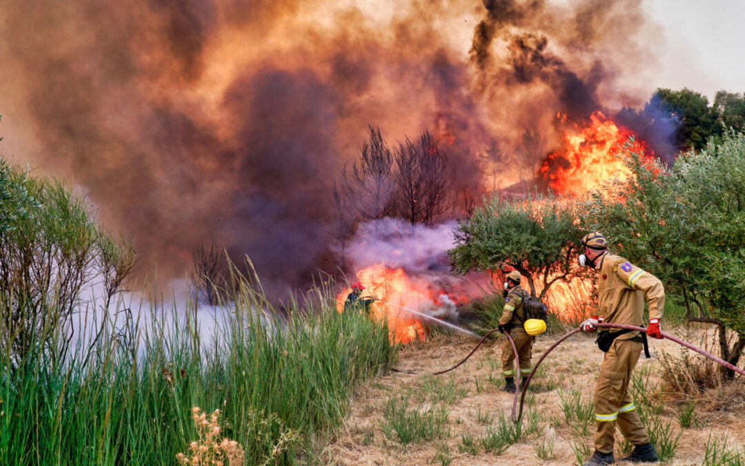 Ο ρόλος των Δήμων στη δασοπυροπροστασία: Αδιαφάνεια και υποχρηματοδότηση  στις δαπάνες πρόληψης των  δασικών πυρκαγιών